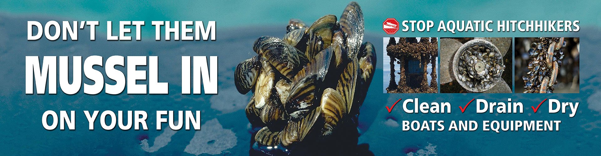 Aquatic Nuisance Species (ANS) • Arkansas Game & Fish Commission