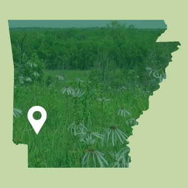 DT_RickEvans_380x380