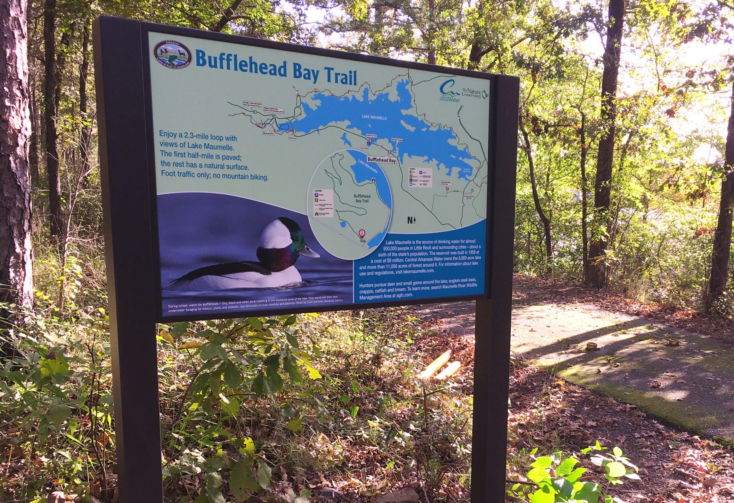Lake Maumelle/Maumelle River WMA Nature Trails • Arkansas Game & Fish