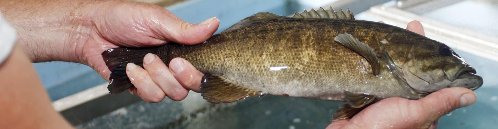 Fisheries Scientific Reports • Arkansas Game & Fish Commission