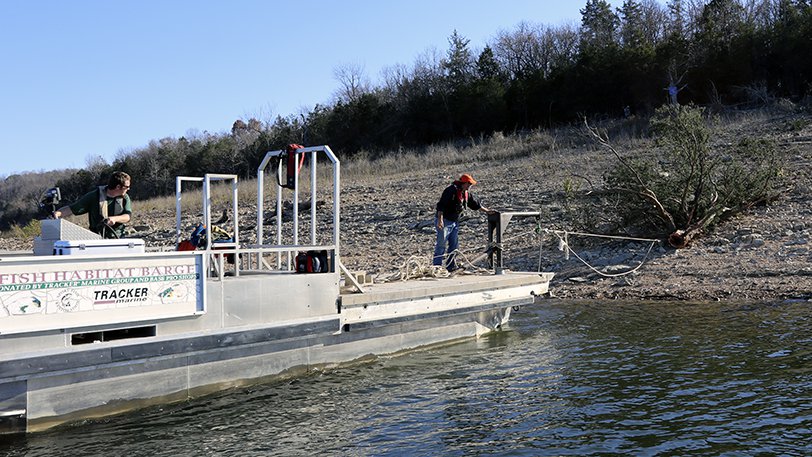 Cedar trees are preferred fish attractors, but other types of complex cover can be used.