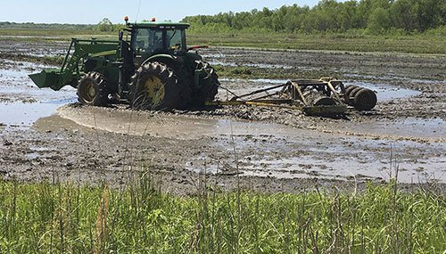 Preparing the soil