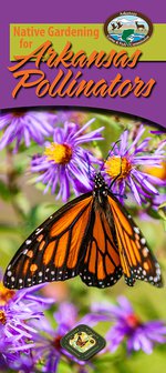 native gardening for pollinators brochure