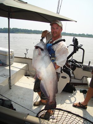 Catfish caught on Mississippi River