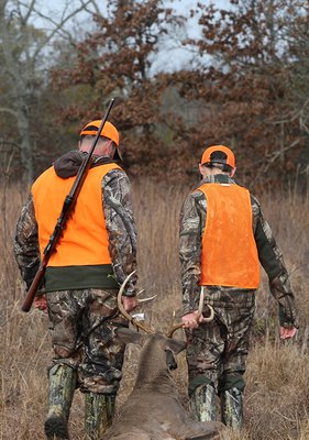 Two hunters dragging deer