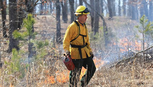 Fireman walking in woods