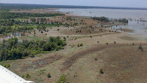 Aerial seeding Millwood Lake