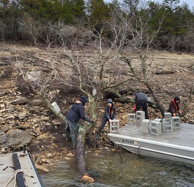 Brush pile on shore