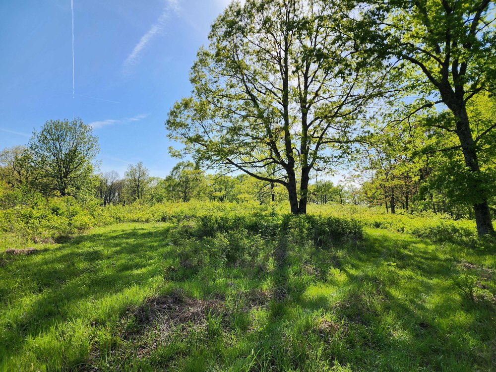 580-acres in Crawford County are now protected under a conservation easement.