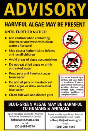 Algae Advisory poster