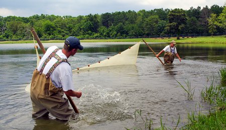 Andrew Hulsey Fish Hatchery 2283.JPG