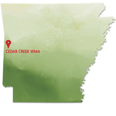 Map: A land donation by the Arkansas Chapter of Backcountry Hunters and Anglers will make access to Cedar Creek WMA in Scott County permanent.