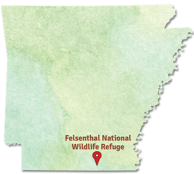 Arkansas map showing location of Felsenthal National Wildlife Refuge