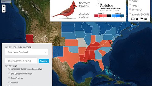 More than half a million Arkansas birds below average, says AGFC