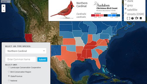 Christmas Bird Count