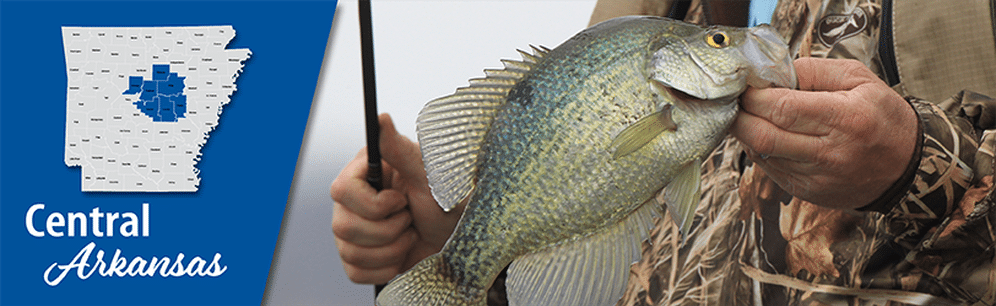 Arkansas Wildlife Weekly Fishing Report • Arkansas Game & Fish