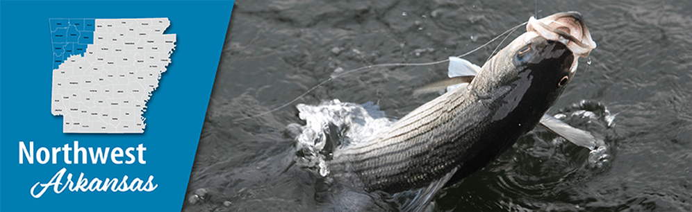 Arkansas Wildlife Weekly Fishing Report • Arkansas Game & Fish Commission