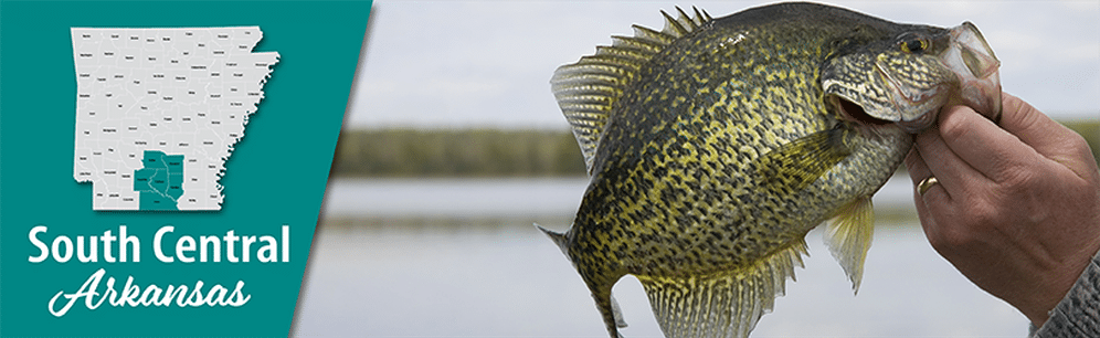 Advanced Seasonal Structure: Winter Docks - Crappie Now