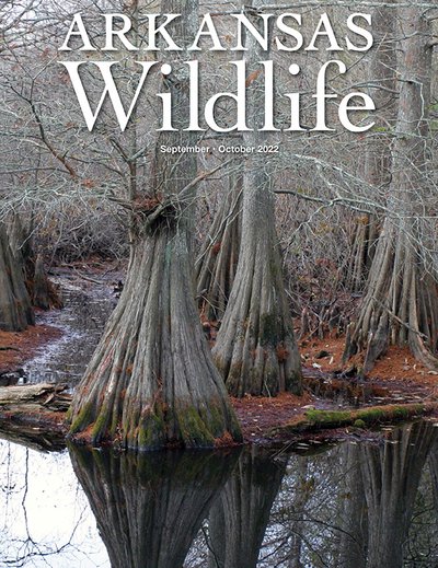 Arkansas Wildlife September-October 2022 Cover