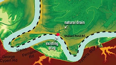 plugs along Mallard Pond Road