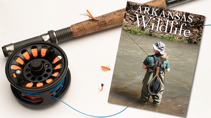 35 years of trout magic celebrated in Arkansas Wildlife Magazine