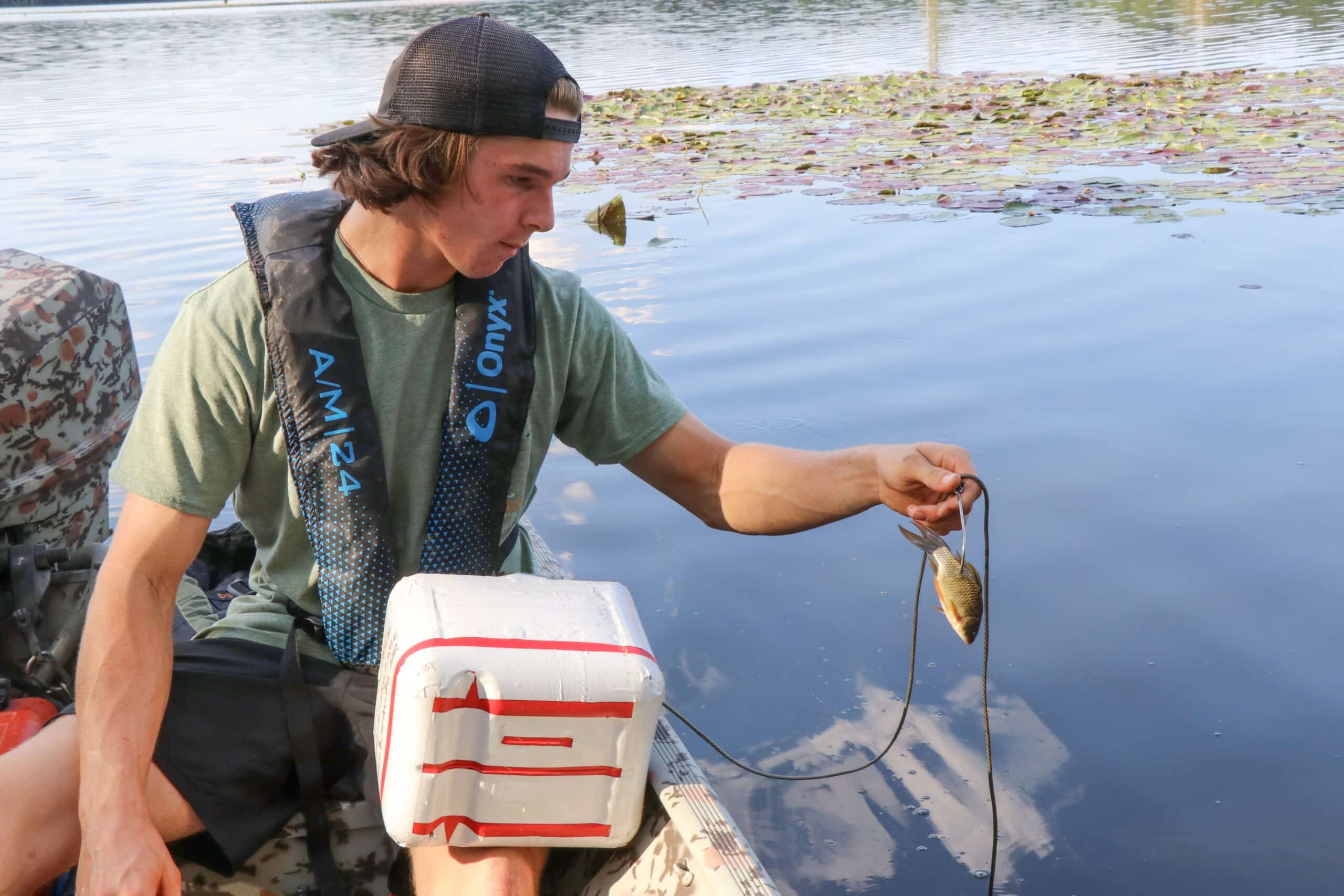 Live bait is a must when fishing for flathead catfish; the bigger the better.