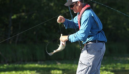 Angler taking bass off hook