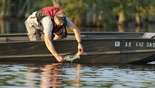 Bass fishing