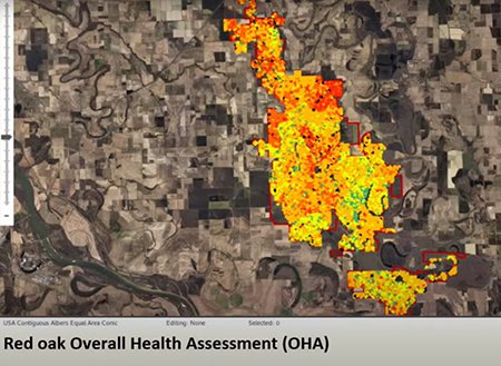 Bayou Meto forest inventory models show red oaks in moderate to severe stress