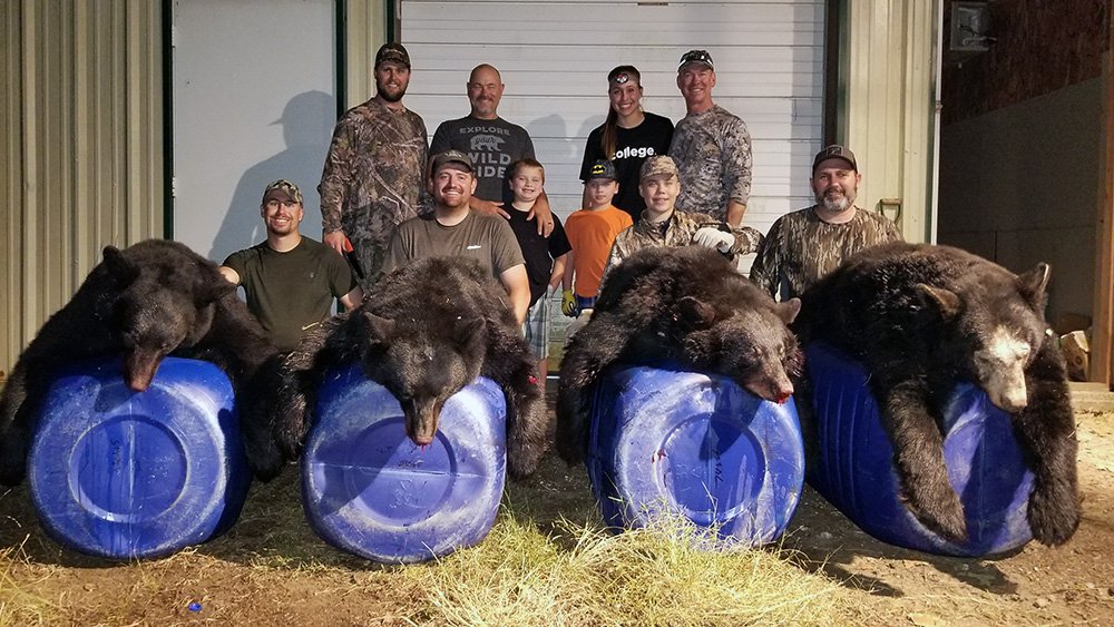 Bears from 2021 harvest