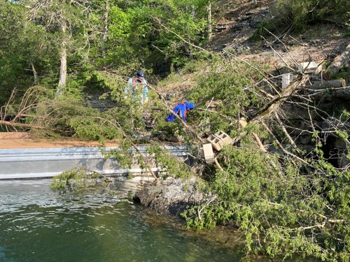 Beaver Lake habitat management