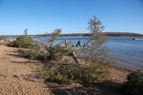 Just shy of 900 trees were added to the lake as fish habitat.