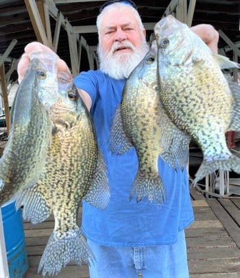 biggercropofcrappie3102022.jpg