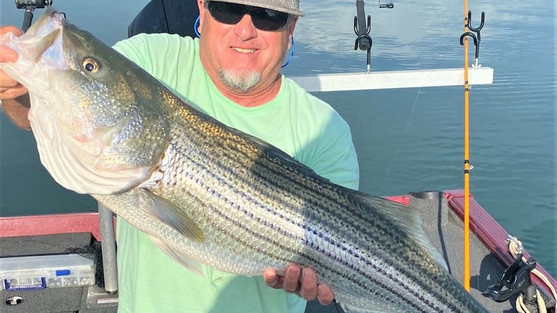 Georgia Fishing Report: July 9, 2021 – Georgia Wildlife Blog