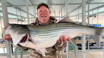 bigstriper3242022.jpg