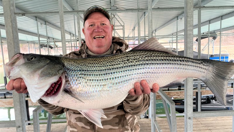 Hybrid, white bass bite cools with rain - Texas Hunting & Fishing