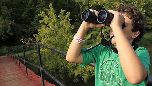 Looking through binoculars