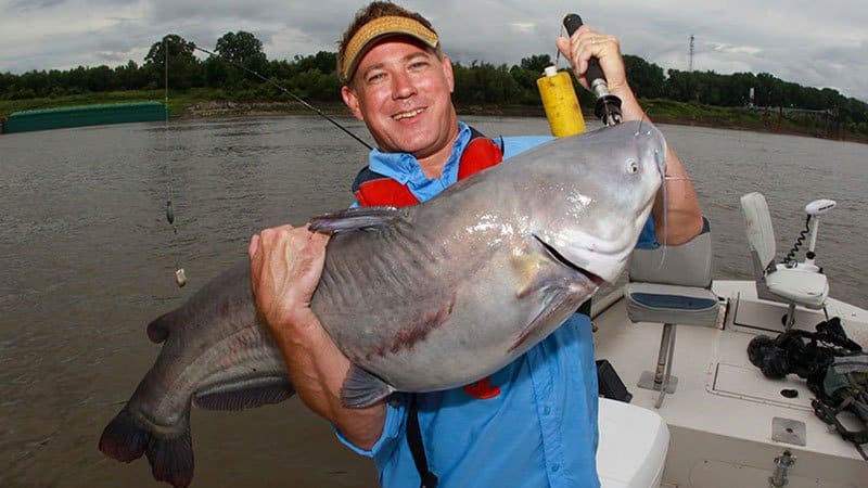 Stinky stuff! Catfish baits that reek of success • Arkansas Game