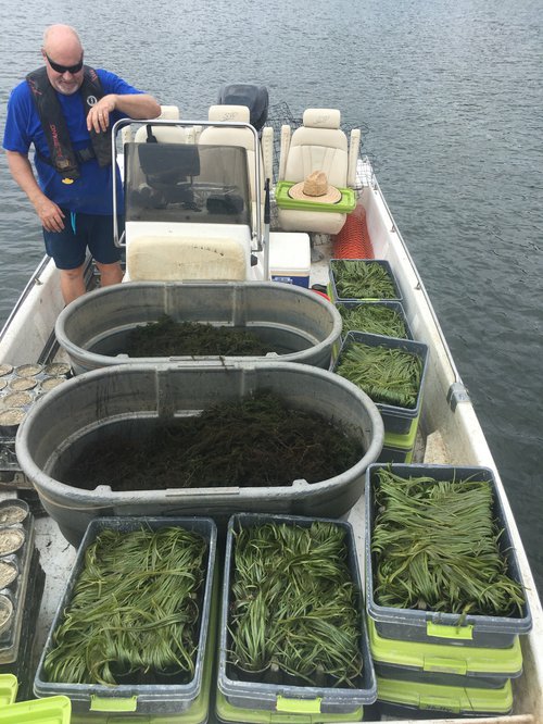 AGFC Fisheries Supervisor Brett Hobbs with tanks full of various aquatic vegetation used in the project.