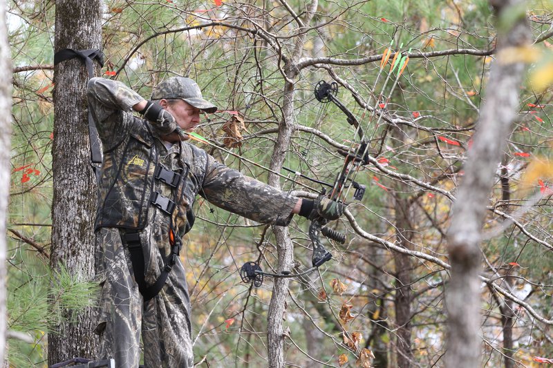 Bowhunter in a tree