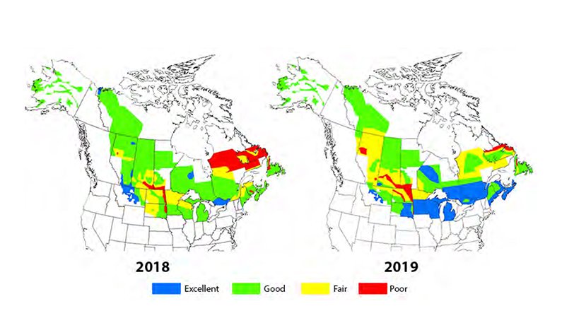 Image of habitat conditions in 2018 and 2019.