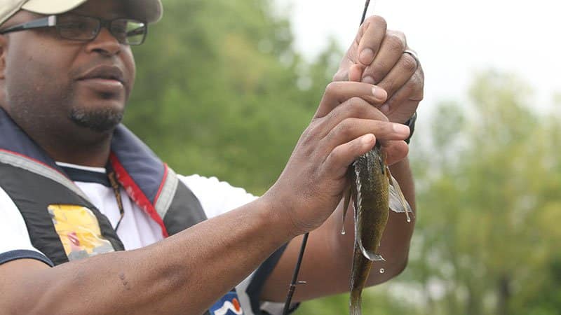 bream-fishing30530__800x450_q85_crop_subsampling-2