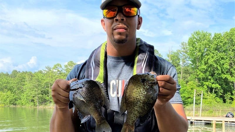 Jump fishing' a sure way to enjoy summer white bass  The Arkansas  Democrat-Gazette - Arkansas' Best News Source