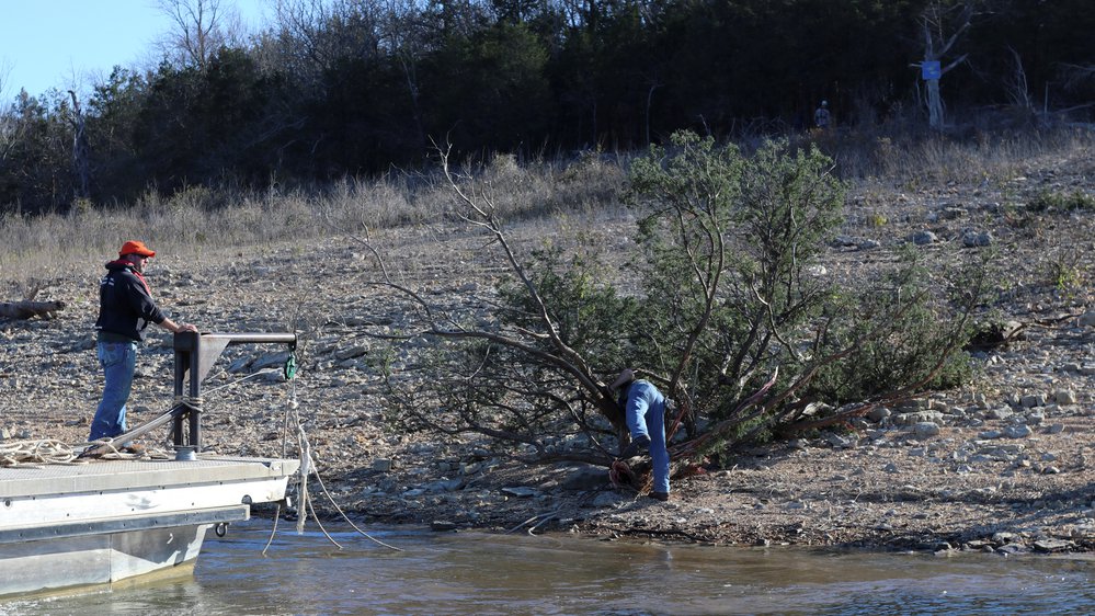 Major habitat projects like this one on Bull Shoals Lake add valuable cover for fish in Arkansas’s aging reservoirs. AGFC photo.