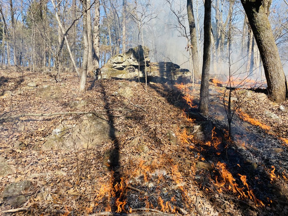 Prescribed fire is an important tool in Rock Creek Ranch’s success story.