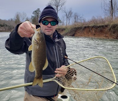Carl Bedel catching smallmouth bass with guide Mark Crawford on the Spring River.