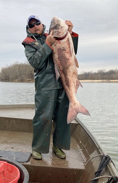 Invasive Carp