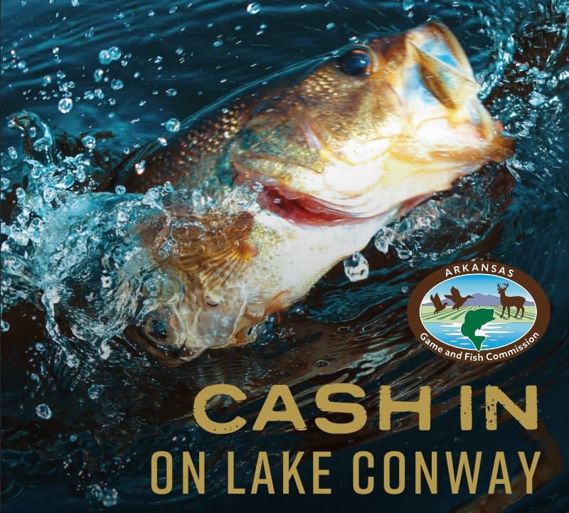 Cash In on Conway