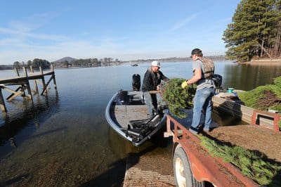 Christmas Tree Sinking 45610.JPG