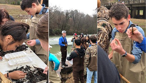 Students at the creek collecting samples